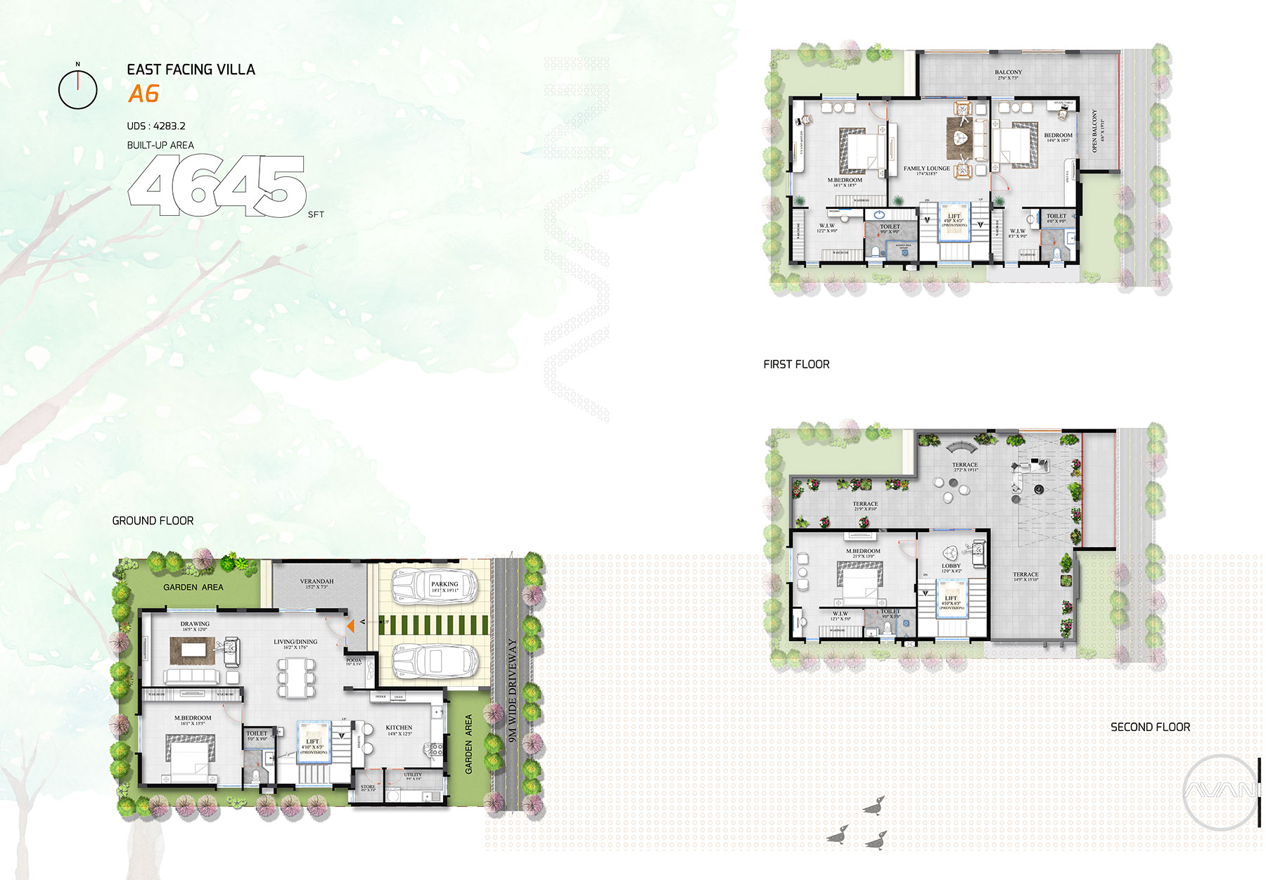 Floor Plan C & D Image